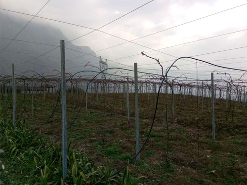 �ͽ���ʹ���