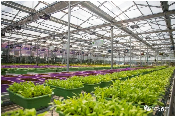 �ͽ���ʹ���